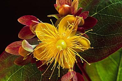 前索尼高管批评现代游戏太冗长 不再有吸引力！