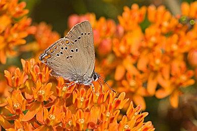 《消逝的光芒2》媒体评分解禁 M站均分78