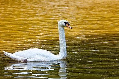 全面修改《月姬》重制版及格斗游戏新预告片公布